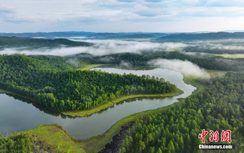 Ішкі Моңғұлдың Үлкен Хынган тауы орман аумағының жазғы көрінісі