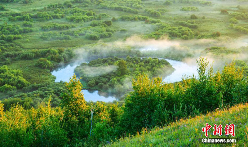 Күздегі Эргунаның әсем келбеті