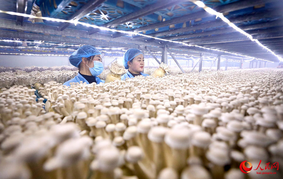 Мерекелік демалыстан кейін өндіріс қауырт басталды