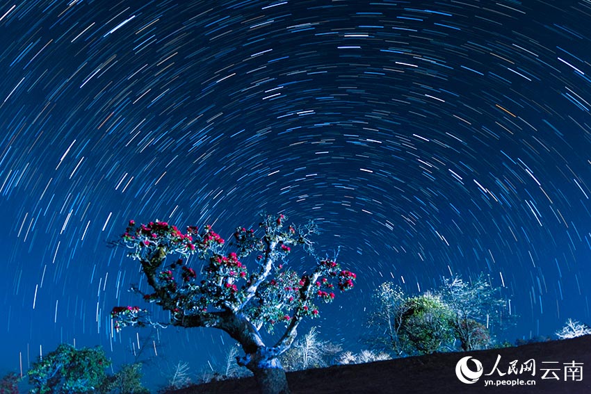 Дали, Юньнань: кадрдағы маралоты мен жұлдыз орбитасы