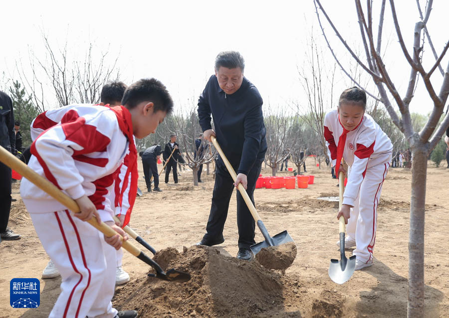 Си Цзиньпин Бейжіңде ағаш отырғызу іс-шарасына қатысты