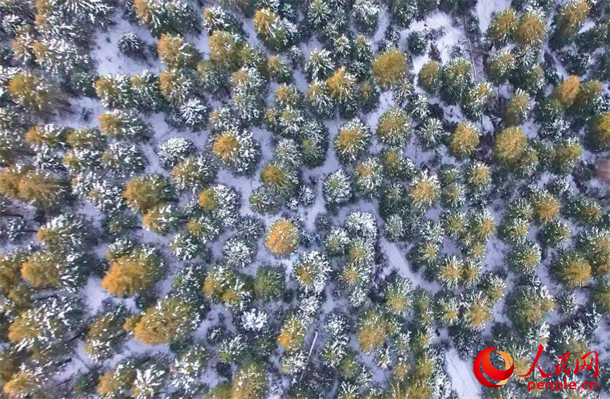 Шыңжаңдағы Боғда көлінің қысқы келбеті
