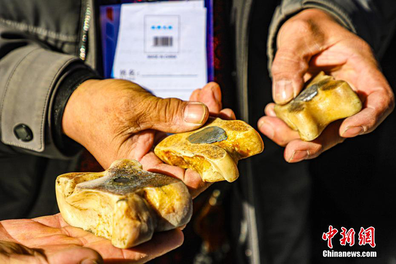 Ішкі Моңғұлда малшылар «мұздағы арга» жарысын өткізді
