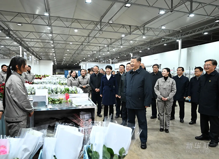 Төраға Си Цзиньпин Юньнань өлкесінің Лицзян қаласына қызметтік тексеріспен барды