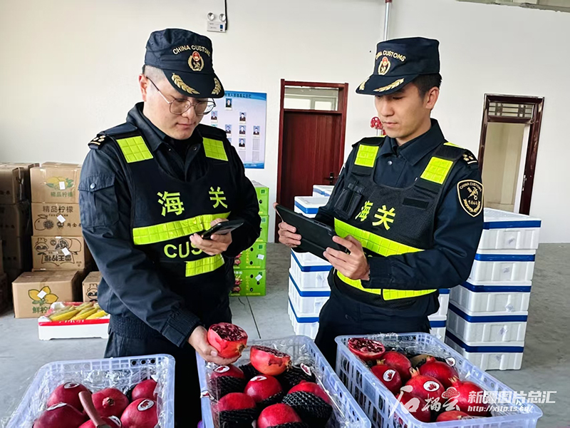 Қорғас портынан жемістер мен көкөністерді экспорттау ақпан айында өткен жылдың сәйкес кезеңімен салыстырғанда 46,2%-ға өсті
