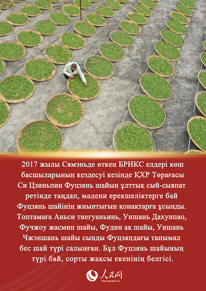 Си Цзиньпин мен Фуцзянь шайы арасындағы хикая