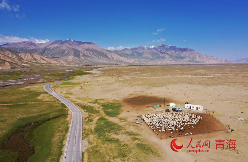 Цинхайдағы Куньлунь тауының жазғы тынысы