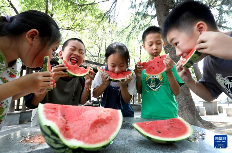 Қытай әлемдегі ең ірі қарбыз өндіруші әрі тұтынушы ел