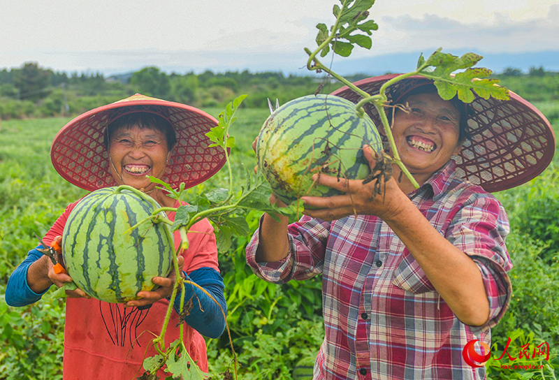 Қытай әлемдегі ең ірі қарбыз өндіруші әрі тұтынушы ел