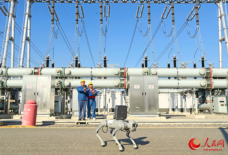 Қытай 12 жыл қатарынан әлемдегі ең ірі өнеркәсіптік роботтар нарығын сақтап келеді