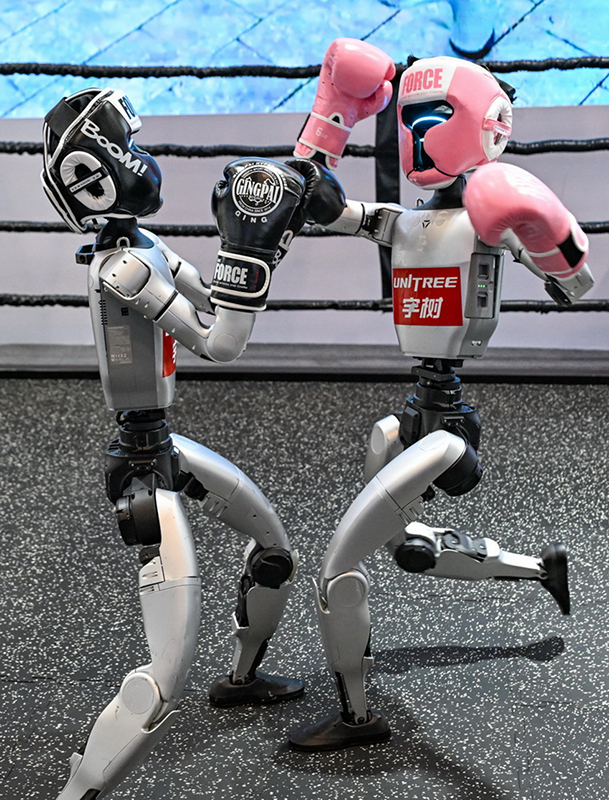 2025 жылғы Дүниежүзілік ақылды индустрия көрмесіне сапар