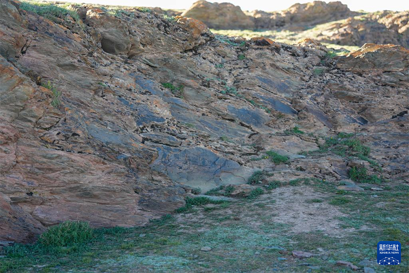 Қытайда түпнұсқадағы және теңіз деңгейінен ең биік жердегі Цинь әулетіндегі құлыптастар табылды