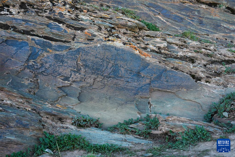 Қытайда түпнұсқадағы және теңіз деңгейінен ең биік жердегі Цинь әулетіндегі құлыптастар табылды