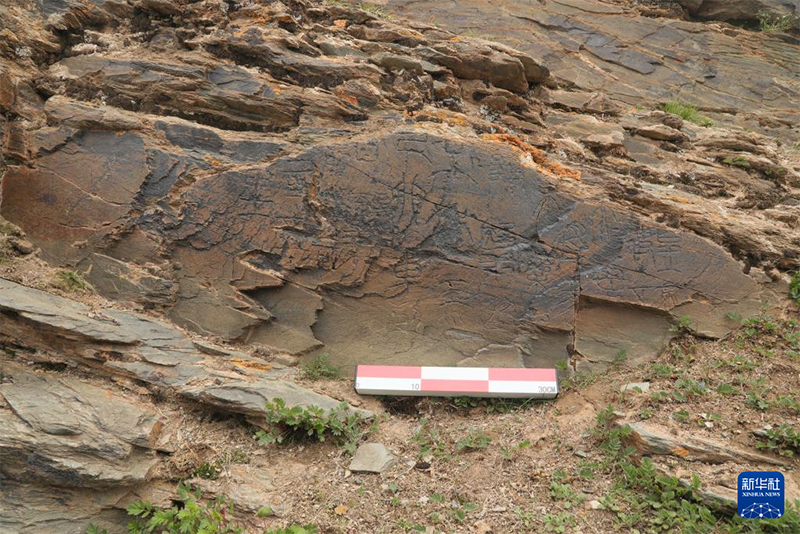 Қытайда түпнұсқадағы және теңіз деңгейінен ең биік жердегі Цинь әулетіндегі құлыптастар табылды