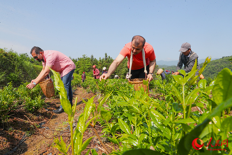 Үшінші тоқсанда Қытайға 178 млн адам кіріп-шықты