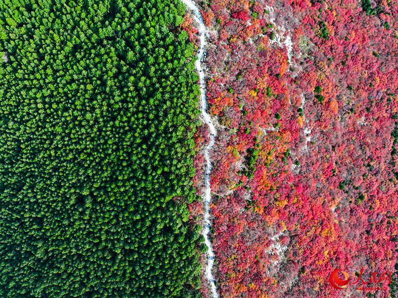 Шаньдун өлкесінің Цзинань өңірінде бір тау қос түске боялды