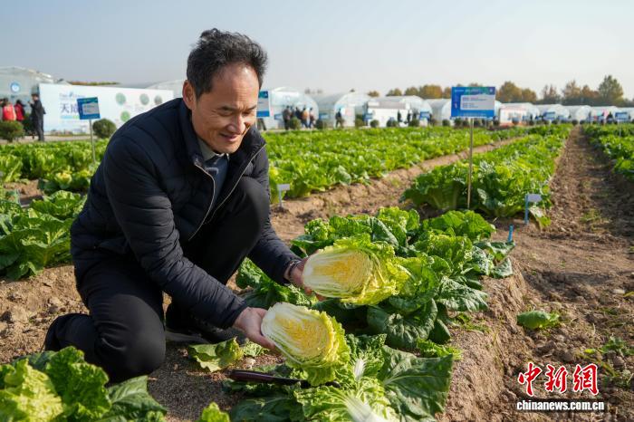 Чжэнчжоу тұқым өнеркәсібі көрмесінде 6000-нан астам жаңа және тамаша сорттар көрсетілді