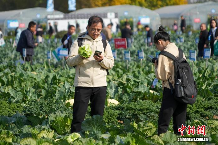 Чжэнчжоу тұқым өнеркәсібі көрмесінде 6000-нан астам жаңа және тамаша сорттар көрсетілді