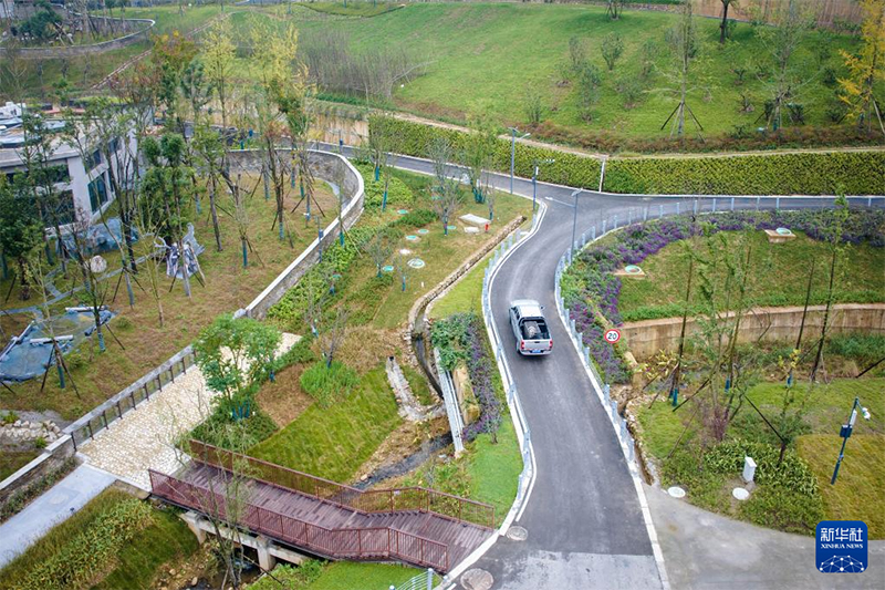 Қытайда тағы бір панда базасы іске қосылды