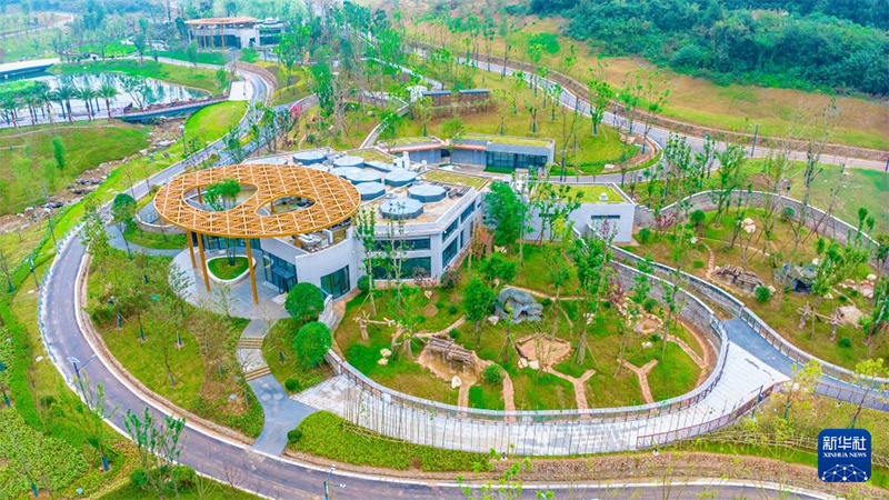 Қытайда тағы бір панда базасы іске қосылды