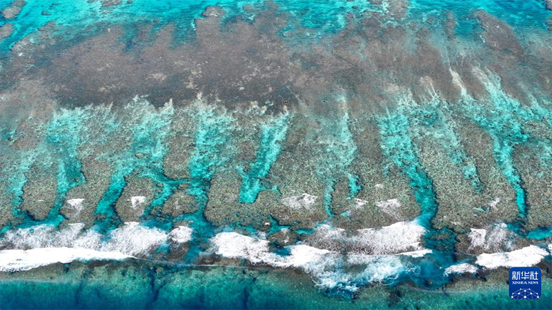 Оңтүстік Қытай теңізінің көркі көз тартады