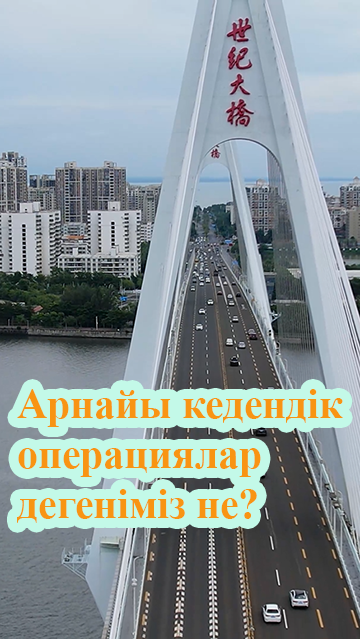 Хайнань еркін сауда портындағы бүкіл арал бойынша арнайы кедендік операция дегеніміз не?