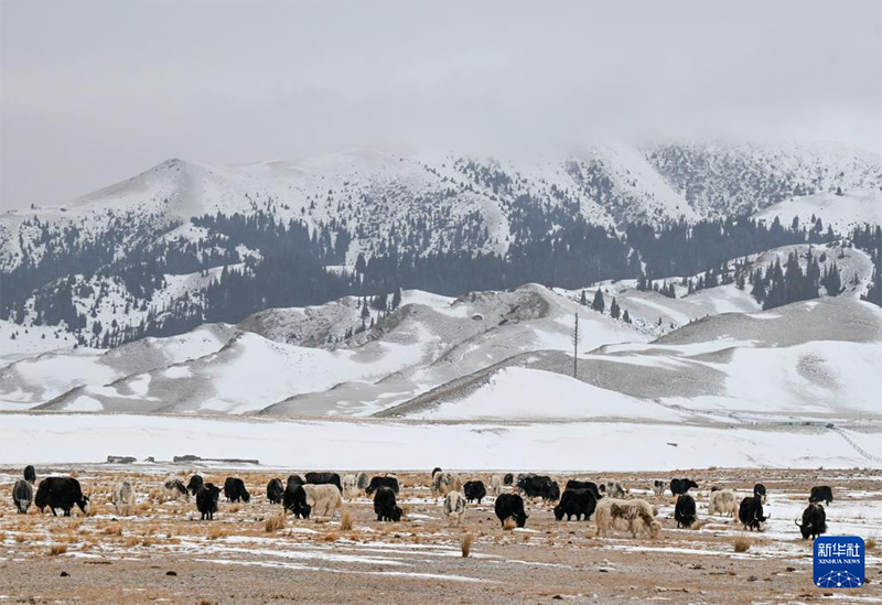 Қыстағы Сайрам көлі