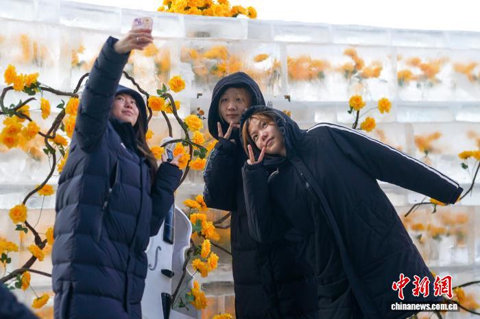 Хэйлунцзян өлкесінің Харбин қаласында «мұздатылған раушан» гүлдеді