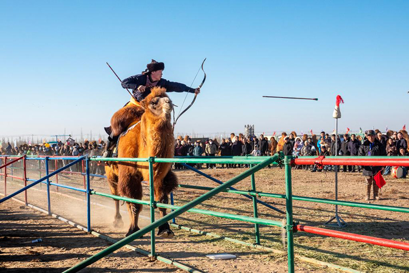 Ішкі Моңғол: 2025 жылғы Алашань түйе ойындары премьер-лигасы қызу жүріп жатыр