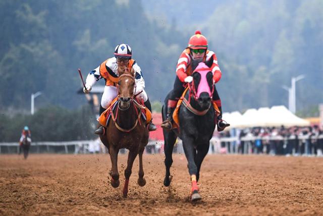 Гуйчжоу «Ауыл жылқысы» байқауында әйел шабандоздар бәйгеге қатысты