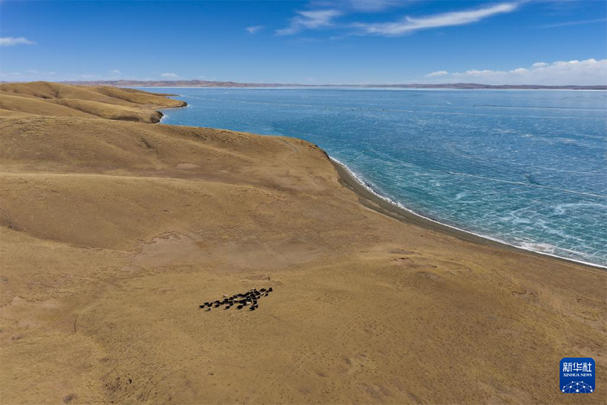 Көркем Қытай: Көктемгі Хуанхэның бастауы