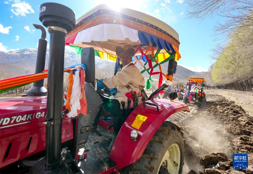 Сицзанның егін аймақтарында көктемгі егіс мейрамы атап өтілді