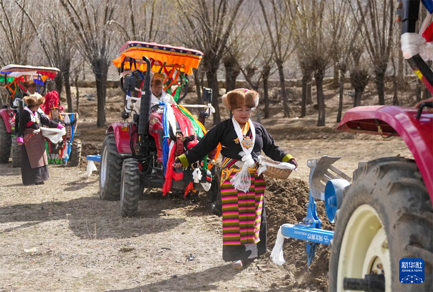 Сицзанның егін аймақтарында көктемгі егіс мейрамы атап өтілді