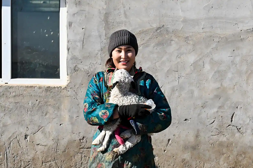 Малшылар көктемгі қой төлдеу мезгілін қарсы алды