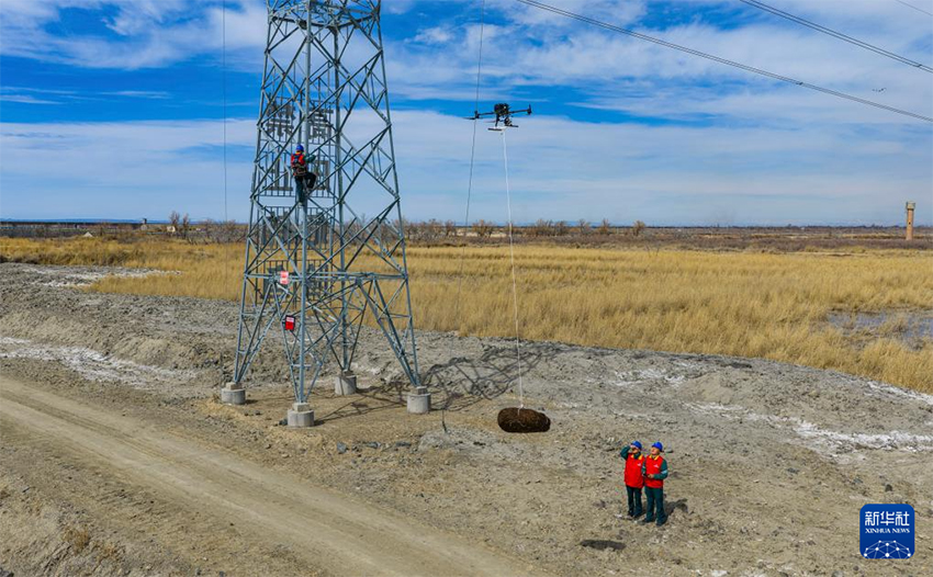 Шыңжаңның Алтай аймағы: «Өмір ұясы» іс-шарасы жыл құсын, сулы-батпақты жерлердің экологиясын, электр желілерінің қауіпсіздігін қорғайды