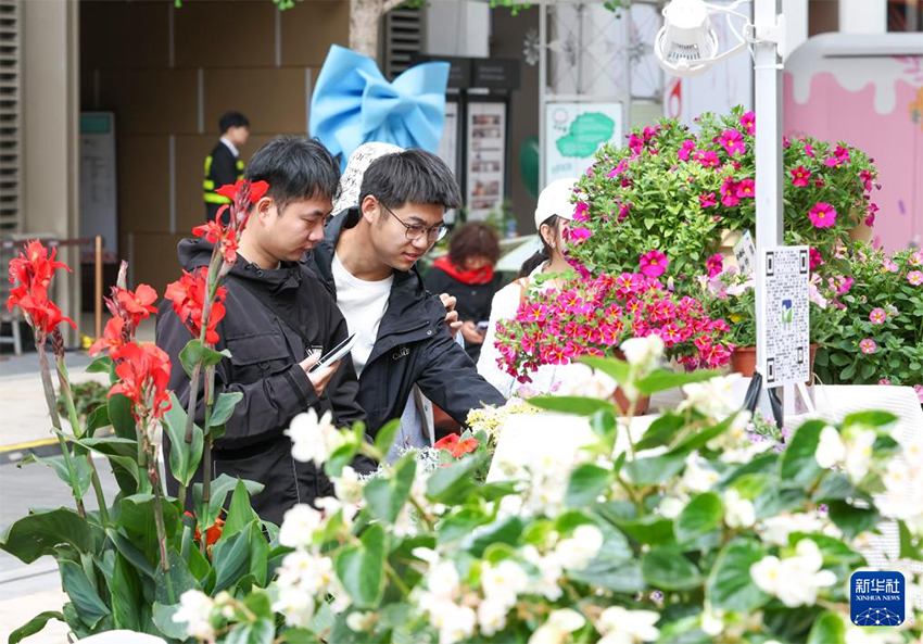 2026 жылғы Шанхай халықаралық гүл фестивалі ашылды